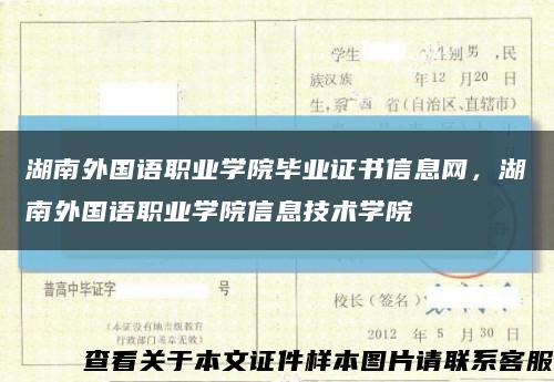湖南外国语职业学院毕业证书信息网，湖南外国语职业学院信息技术学院缩略图