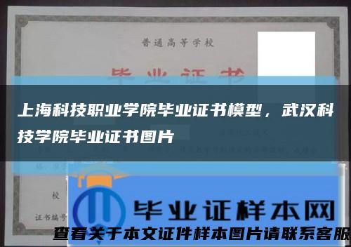 上海科技职业学院毕业证书模型，武汉科技学院毕业证书图片缩略图