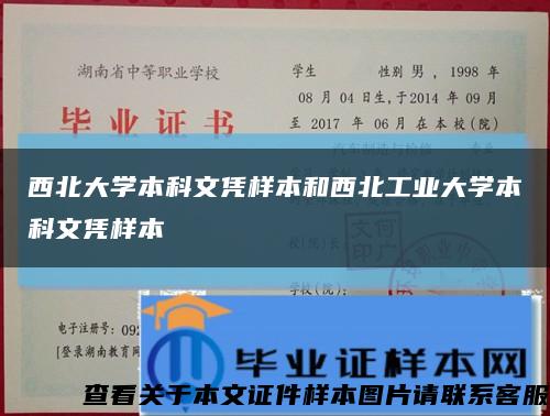 西北大学本科文凭样本和西北工业大学本科文凭样本缩略图