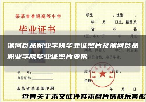 漯河食品职业学院毕业证照片及漯河食品职业学院毕业证照片要求缩略图