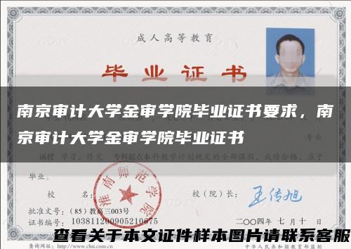 南京审计大学金审学院毕业证书要求，南京审计大学金审学院毕业证书缩略图