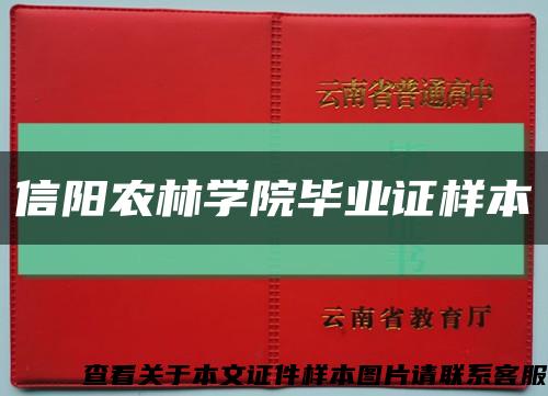 信阳农林学院毕业证样本缩略图