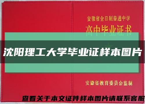 沈阳理工大学毕业证样本图片缩略图