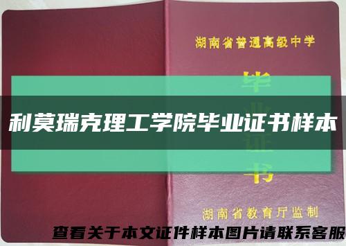 利莫瑞克理工学院毕业证书样本缩略图