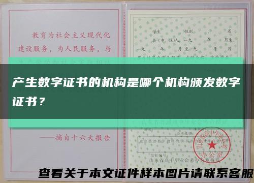 产生数字证书的机构是哪个机构颁发数字证书？缩略图