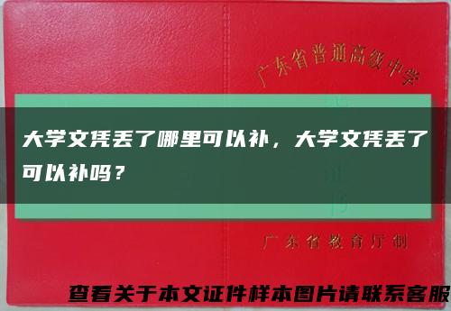 大学文凭丢了哪里可以补，大学文凭丢了可以补吗？缩略图