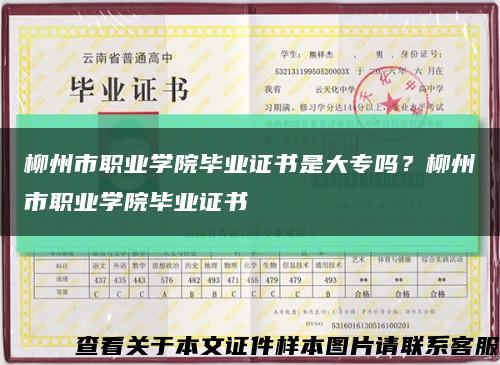柳州市职业学院毕业证书是大专吗？柳州市职业学院毕业证书缩略图
