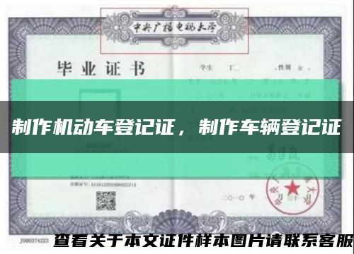 制作机动车登记证，制作车辆登记证缩略图