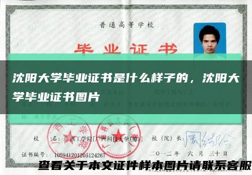 沈阳大学毕业证书是什么样子的，沈阳大学毕业证书图片缩略图