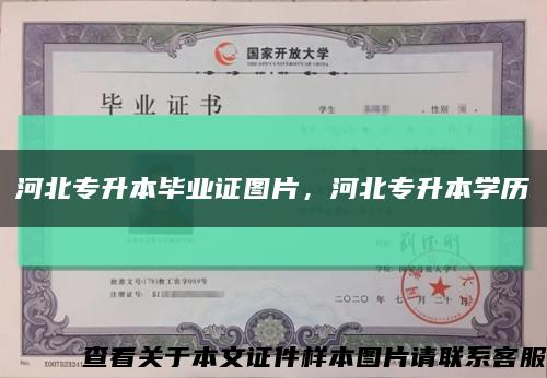 河北专升本毕业证图片，河北专升本学历缩略图