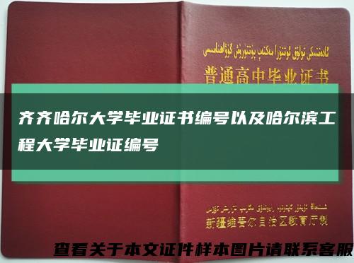 齐齐哈尔大学毕业证书编号以及哈尔滨工程大学毕业证编号缩略图