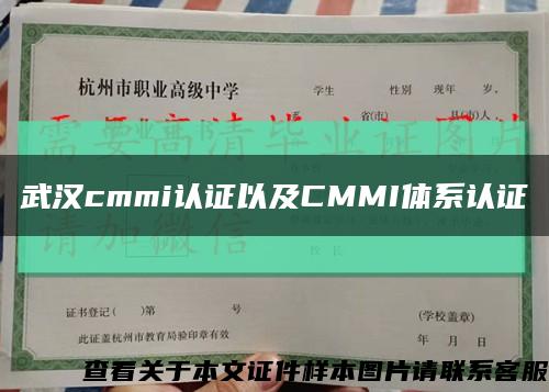 武汉cmmi认证以及CMMI体系认证缩略图