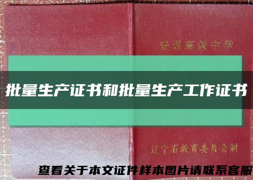 批量生产证书和批量生产工作证书缩略图
