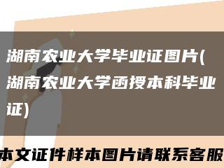 湖南农业大学毕业证图片(湖南农业大学函授本科毕业证)缩略图