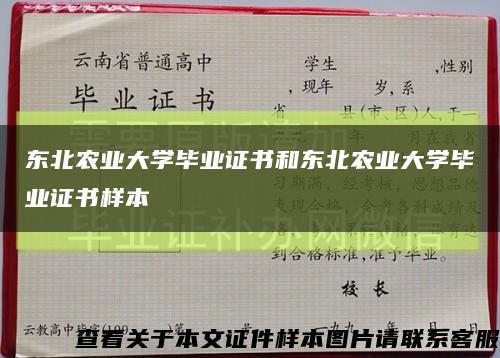 东北农业大学毕业证书和东北农业大学毕业证书样本缩略图