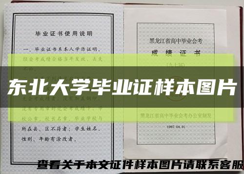 东北大学毕业证样本图片缩略图