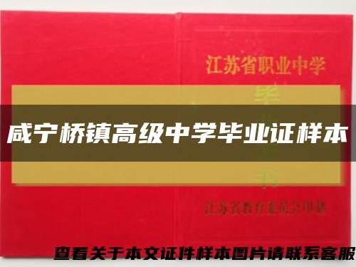 咸宁桥镇高级中学毕业证样本缩略图