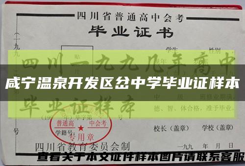 咸宁温泉开发区岔中学毕业证样本缩略图