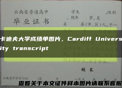卡迪夫大学成绩单图片，Cardiff University transcript缩略图