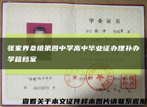 张家界桑植第四中学高中毕业证办理补办学籍档案缩略图