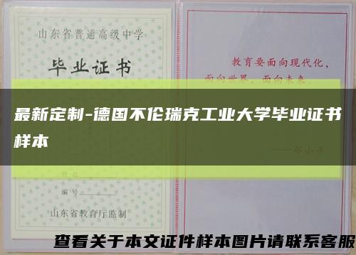最新定制-德国不伦瑞克工业大学毕业证书样本缩略图