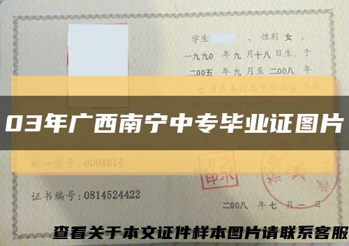 03年广西南宁中专毕业证图片缩略图