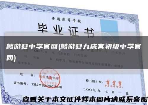麟游县中学官网(麟游县九成宫初级中学官网)缩略图