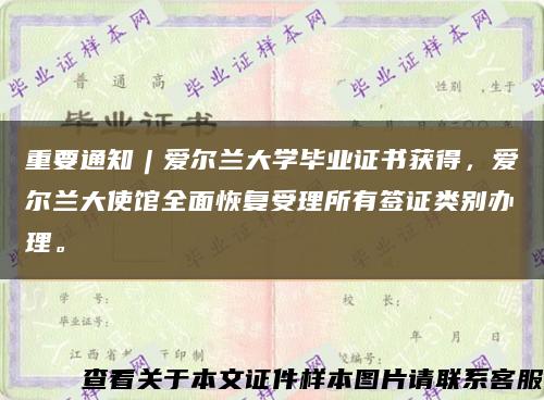 重要通知︱爱尔兰大学毕业证书获得，爱尔兰大使馆全面恢复受理所有签证类别办理。缩略图