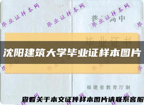 沈阳建筑大学毕业证样本图片缩略图