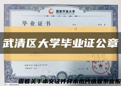 武清区大学毕业证公章缩略图