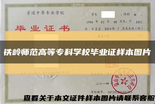 铁岭师范高等专科学校毕业证样本图片缩略图