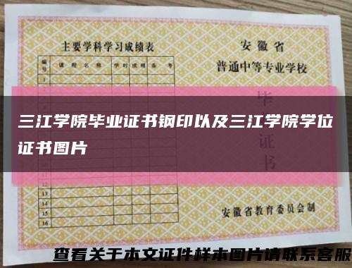 三江学院毕业证书钢印以及三江学院学位证书图片缩略图