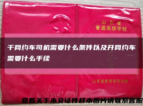 干网约车司机需要什么条件以及开网约车需要什么手续缩略图