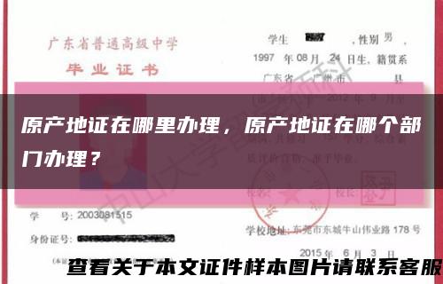 原产地证在哪里办理，原产地证在哪个部门办理？缩略图