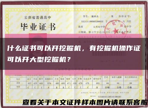 什么证书可以开挖掘机，有挖掘机操作证可以开大型挖掘机？缩略图