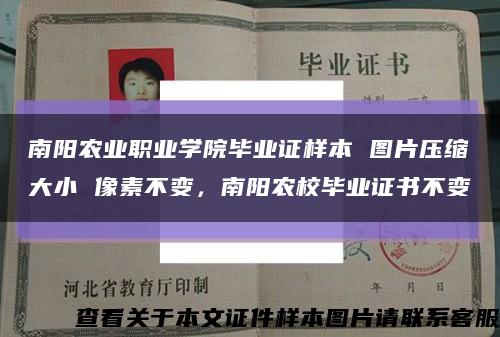 南阳农业职业学院毕业证样本 图片压缩大小 像素不变，南阳农校毕业证书不变缩略图