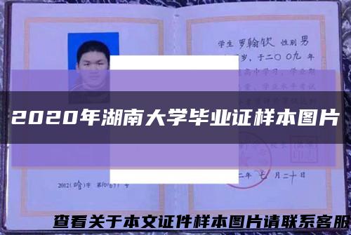 2020年湖南大学毕业证样本图片缩略图