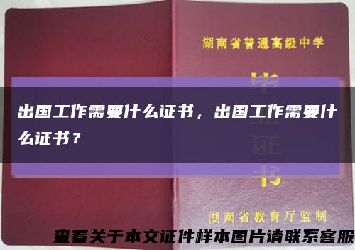 出国工作需要什么证书，出国工作需要什么证书？缩略图