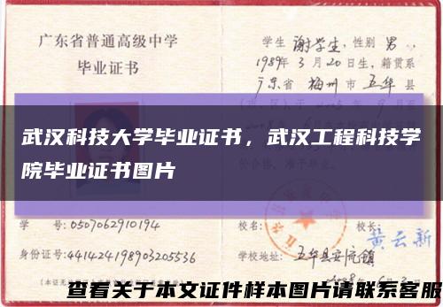 武汉科技大学毕业证书，武汉工程科技学院毕业证书图片缩略图