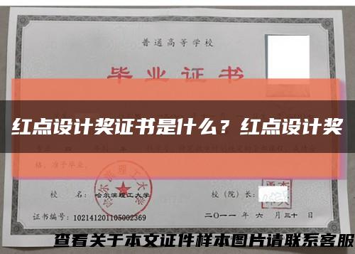 红点设计奖证书是什么？红点设计奖缩略图