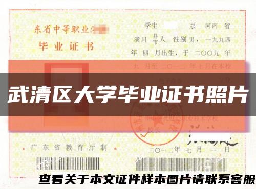 武清区大学毕业证书照片缩略图
