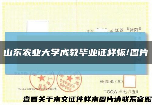 山东农业大学成教毕业证样板/图片缩略图