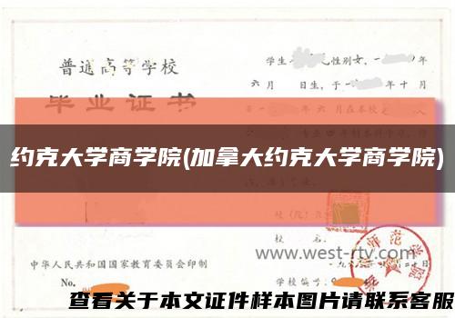 约克大学商学院(加拿大约克大学商学院)缩略图