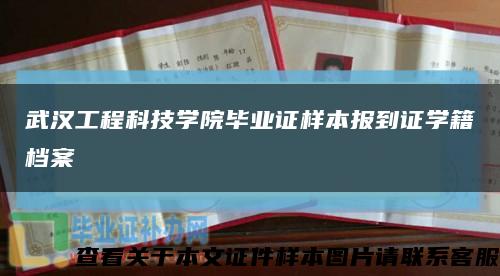 武汉工程科技学院毕业证样本报到证学籍档案缩略图