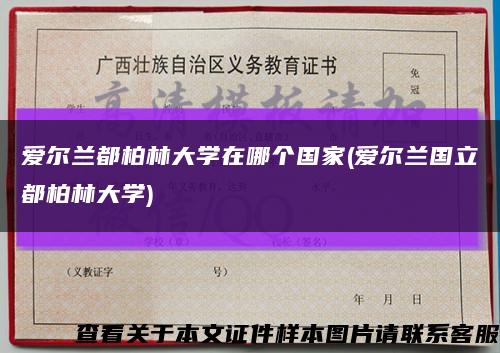 爱尔兰都柏林大学在哪个国家(爱尔兰国立都柏林大学)缩略图