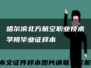 哈尔滨北方航空职业技术学院毕业证样本缩略图