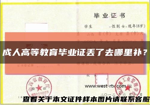 成人高等教育毕业证丢了去哪里补？缩略图