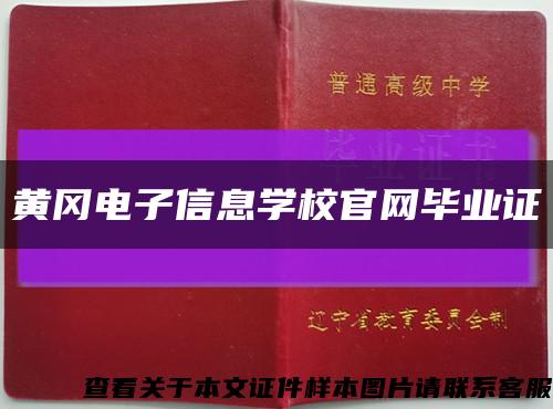 黄冈电子信息学校官网毕业证缩略图