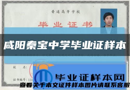 咸阳秦宝中学毕业证样本缩略图