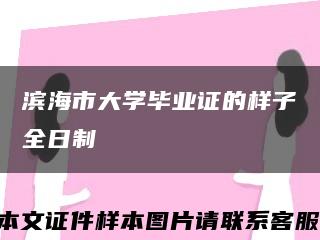 滨海市大学毕业证的样子全日制缩略图